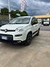 fiat-panda-1-0-firefly-s-s-hybrid-city-life