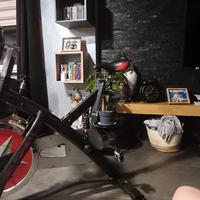 bici da allenamento 