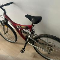 Mountain bike
