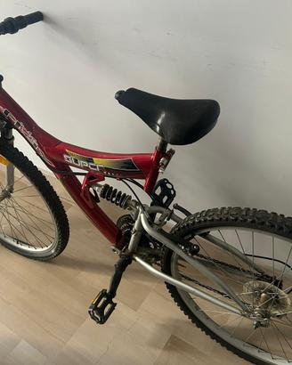 Mountain bike