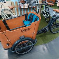 Cargobike mod. Go Mountain
