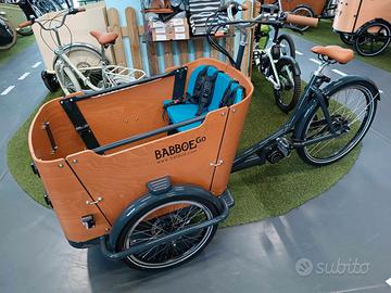 Cargobike mod. Go Mountain