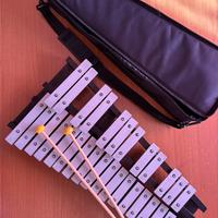 Xilofono e altri strumenti