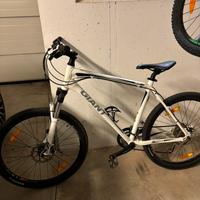 Bici della marca giant