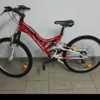 
bici da uomo e donna technobike