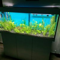 Pesci, piante acquario