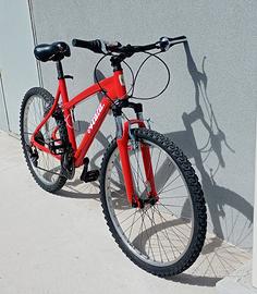 bicicletta sport trekking 