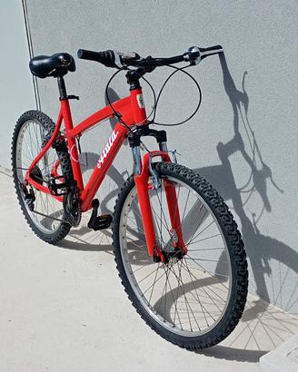 bicicletta sport trekking 