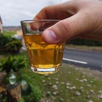 Pisa - Vino Bianco e Rosso Trebbiano IGT