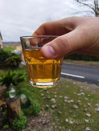 Pisa - Vino Bianco e Rosso Trebbiano IGT