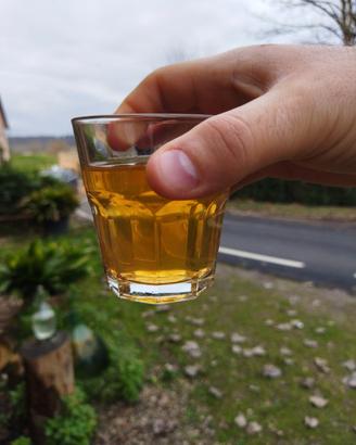 Pisa - Vino Bianco e Rosso Trebbiano IGT