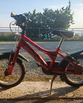 Bicicletta Brera 