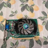 Scheda Video GeForce GT 220 Point Of View 1GB