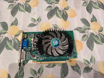 Scheda Video GeForce GT 220 Point Of View 1GB