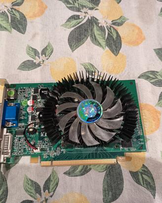 Scheda Video GeForce GT 220 Point Of View 1GB