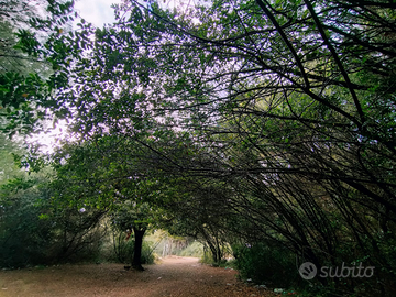 Appartamento arredato al mare in puglia