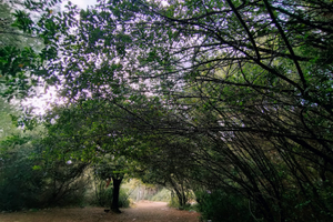 Appartamento arredato al mare in puglia
