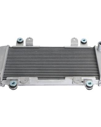 Radiatore ninja 300/z300 2013-2017