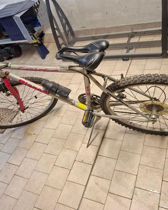 Mountain Bike Bianchi Cobra