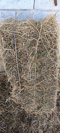 Fieno/paglia