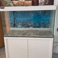 Acquario Ciano Emotion by Askoll lt 200