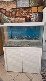 Acquario Ciano Emotion by Askoll lt 200