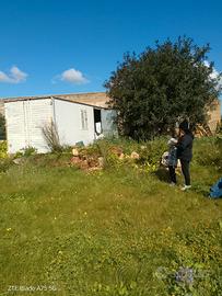 Terreno a Mazara del Vallo