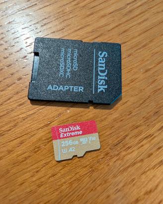 MicroSd 256gb Extreme v30 nuova mai usata