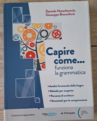 Capire Come Gramatica 9788841652480 nuovo