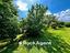 Immagine 13