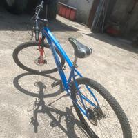Bici da passeggio