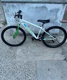 Bicicletta 24