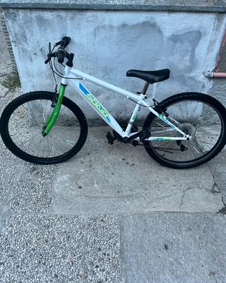 Bicicletta 24