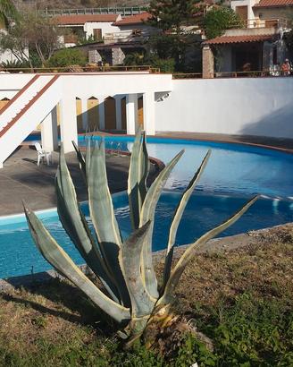 Bivani in residence con piscina e posto auto