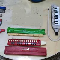 strumenti musicali labiali