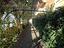Immagine 9