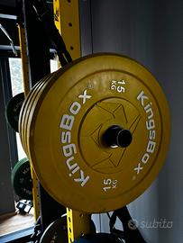 Royal Color Bumper Plates 2.0