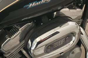 HARLEY DADAVIDSON  883XL CUSTOM