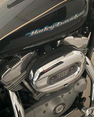 HARLEY DADAVIDSON  883XL CUSTOM