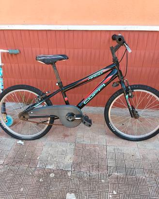 due bici