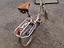 Immagine 1