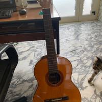 CHITARRA BRASILIANA GIANNINI Vintage