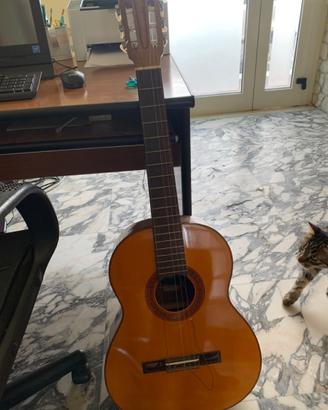 CHITARRA BRASILIANA GIANNINI Vintage