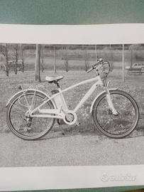 bici elettrica 