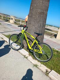 Bici x-fact