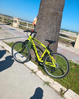 Bici x-fact