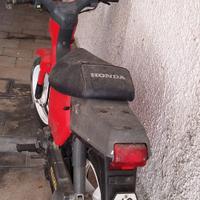 Scooter Honda Wallaroo 50