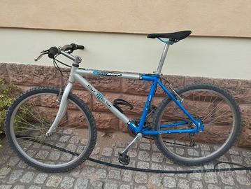 Mountain bike Sintesi