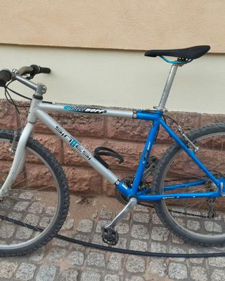 Mountain bike Sintesi