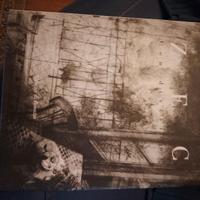 cataloghi artisti con autografo originale